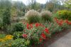 Gewinnspiele-Reisen-Rosarium-Sangerhausen-2012-120901-DSC_0251.jpg