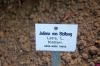 Gewinnspiele-Reisen-Rosarium-Sangerhausen-2012-120901-DSC_0261.jpg